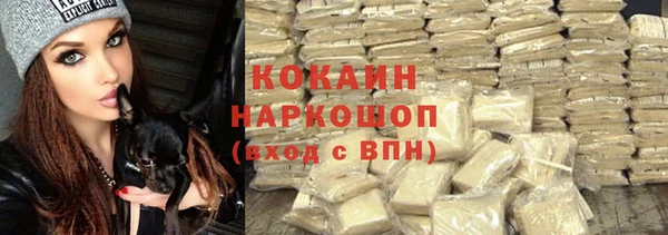 стафф Новозыбков
